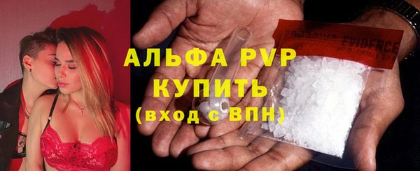 молекула духа Вязьма