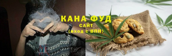 эйфоретик Няндома