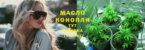 эйфоретик Няндома