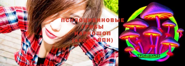 молекула духа Вязьма