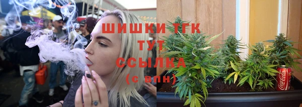 молекула духа Вязьма