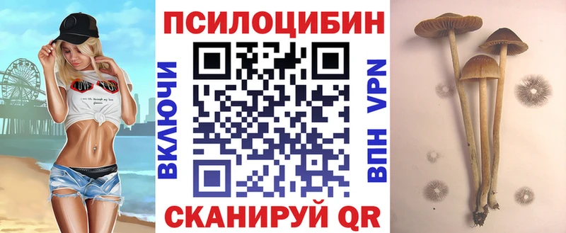 Галлюциногенные грибы ЛСД  Зея 